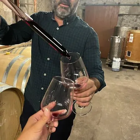 Chai Margaux. Maison 6 Pers Au Coeur Des Chateaux * Margaux-Cantenac