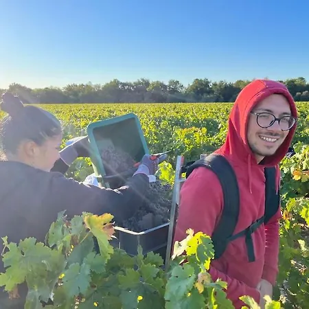 Chai Margaux. Maison 6 Pers Au Coeur Des Chateaux *